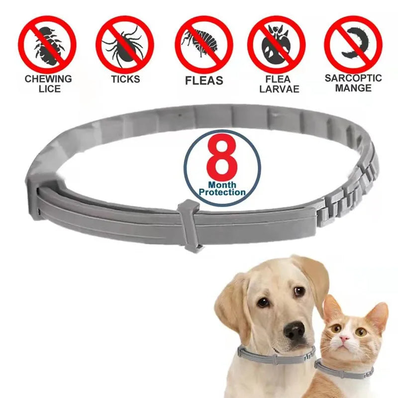 2PCS Natural & Safe Flea and Tick Collar for Dogs, Protection, Waterproof, Free Comb and Tick Removal Tool 95