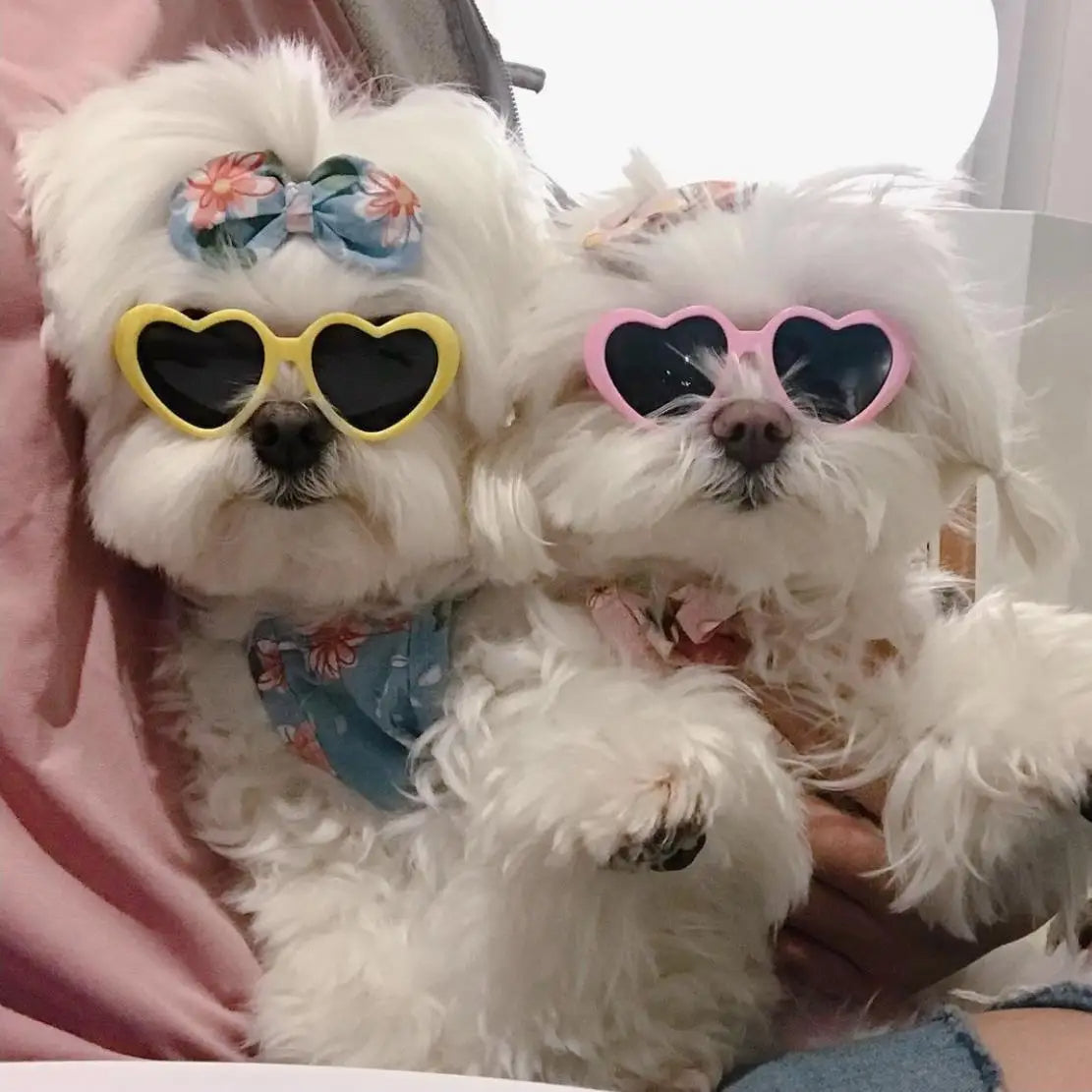 Heart Sunglasses Doggy Shades, Small to Medium Dogs Cute Sunnies, Super Cute Heart Sunglasses for Tiny Dogs in pink or yellow, Sunglasses for Cats & Dogs, Cute Pet Sunglasses 23