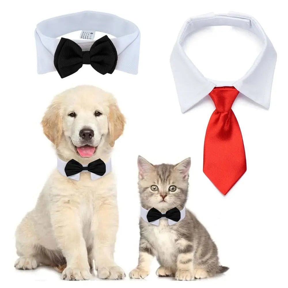 Pet Black Bow Tie Dog Collar for Weddings with Handcrafted Adjustable White Collar and Black Tie, Pet Accessories, Dog Style, Dog Fashion, Gift For Pet 28