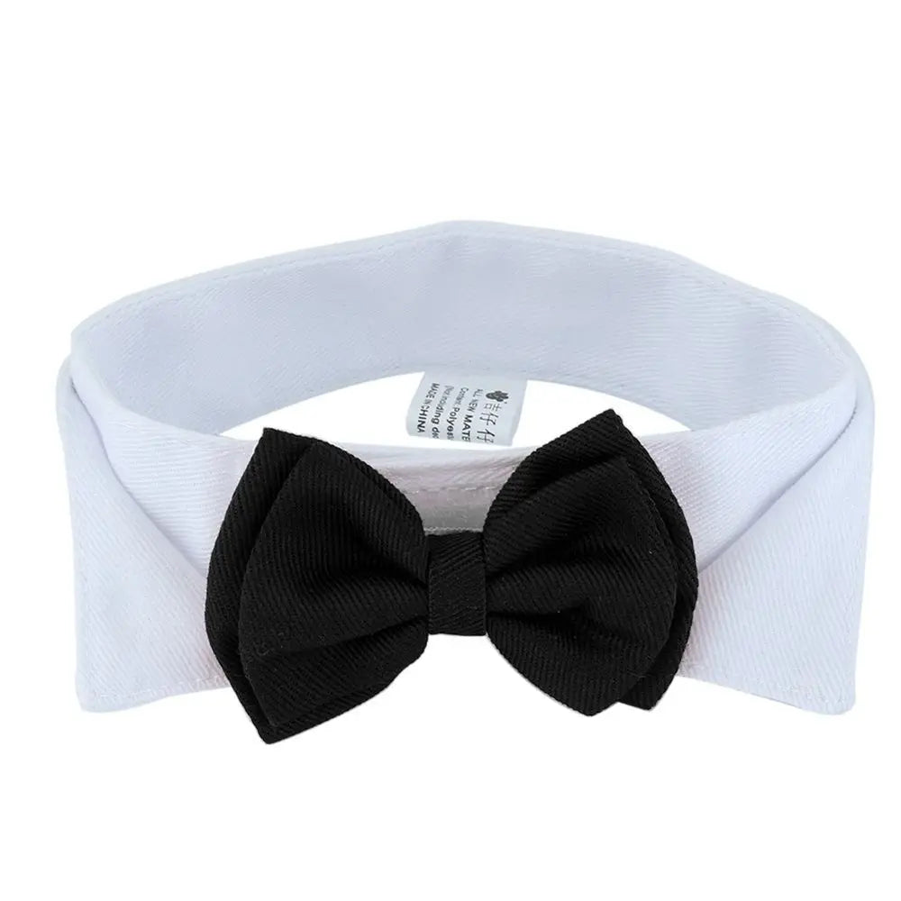 Pet Black Bow Tie Dog Collar for Weddings with Handcrafted Adjustable White Collar and Black Tie, Pet Accessories, Dog Style, Dog Fashion, Gift For Pet 28