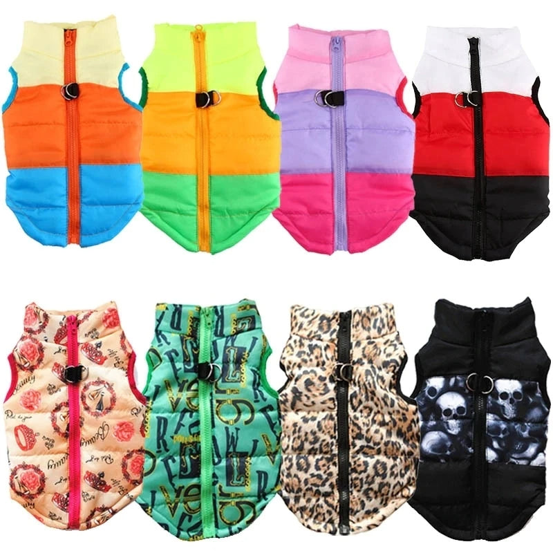 2PCS Winter Warm Dog Coat Jacket Windproof Dog Clothes for Small Dogs Padded Clothing Chihuahua Clothes Pet Supplies, Gift For Pet 140