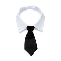 Thumbnail for Pet Black Bow Tie Dog Collar for Weddings with Handcrafted Adjustable White Collar and Black Tie, Pet Accessories, Dog Style, Dog Fashion, Gift For Pet 28