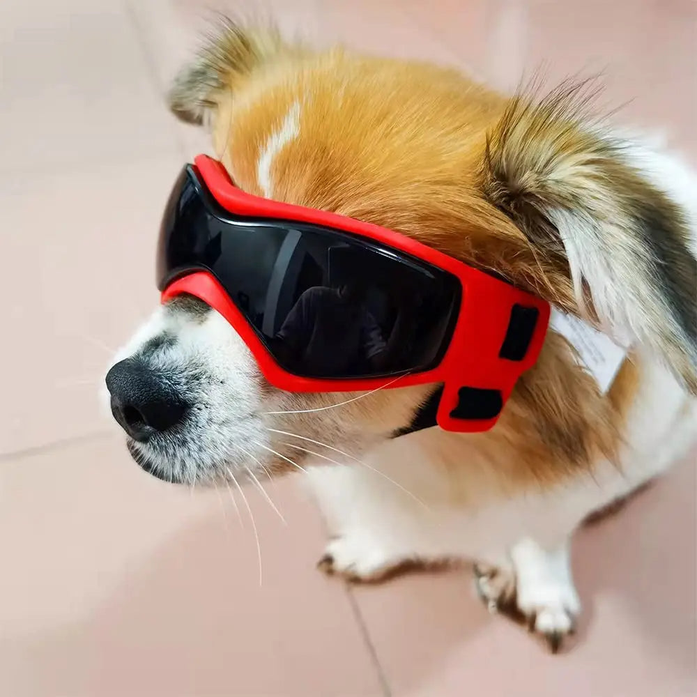 2PCS Protective Goggles for Dogs and Cats - Sunglasses - UV Protection - Cool Glasses for Small Dogs - Outdoor Riding 137