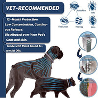 Thumbnail for 2PCS Natural & Safe Flea and Tick Collar for Dogs, Protection, Waterproof, Free Comb and Tick Removal Tool 95