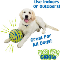 Thumbnail for Wobble Wag Giggle Ball, Interactive Dog Toy, Fun Giggle Sounds When Rolled or Shaken, Pets Know Best, As Seen On TV Medium, Puppy Toys, Gift For Pet 37