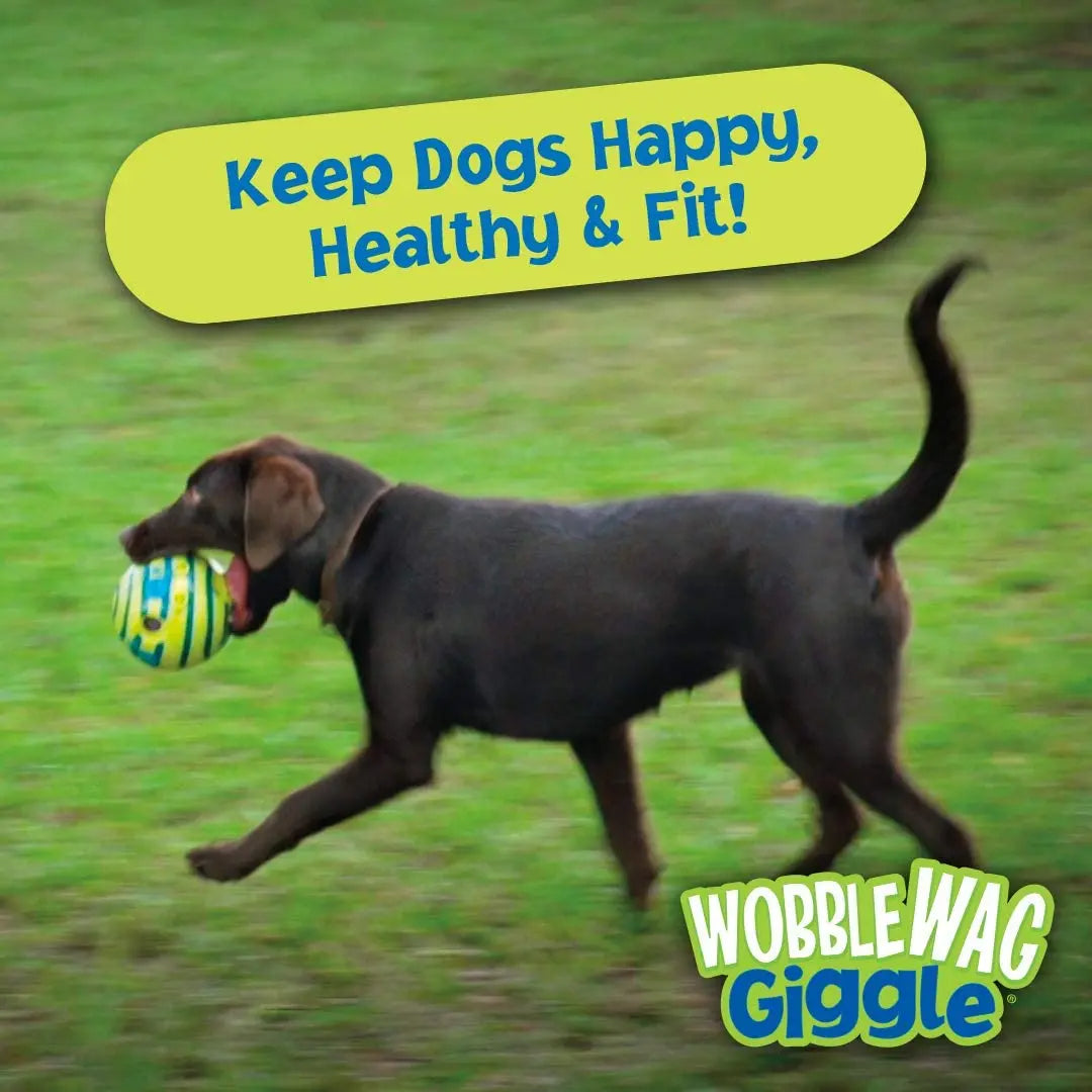 Wobble Wag Giggle Ball, Interactive Dog Toy, Fun Giggle Sounds When Rolled or Shaken, Pets Know Best, As Seen On TV Medium, Puppy Toys, Gift For Pet 37