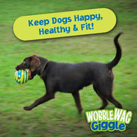 Thumbnail for Wobble Wag Giggle Ball, Interactive Dog Toy, Fun Giggle Sounds When Rolled or Shaken, Pets Know Best, As Seen On TV Medium, Puppy Toys, Gift For Pet 37