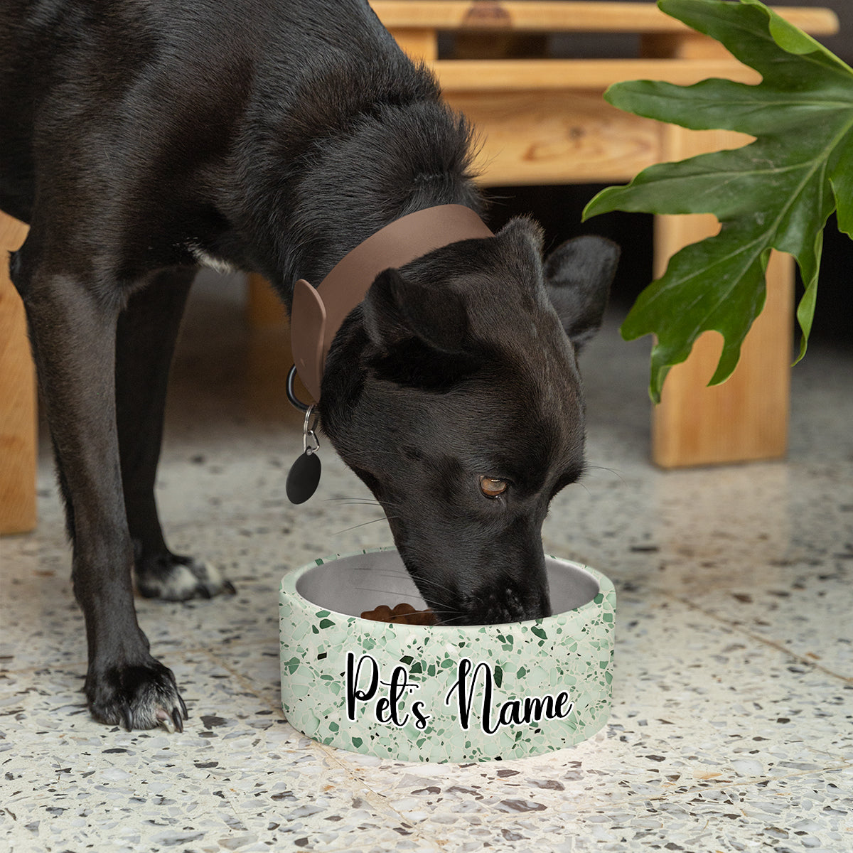 Personalized Dog Pet Cat Bowls, Boho Chic Terrazzo 03 Personalized Pet Bowls for Dogs and Cats, Eclectic Modern Spotted Dishes With Name, Ceramic Custom Cute Dog Bowls, Designer Large and Small Dog Cat Pet Bowls Dish, Gift for Pet