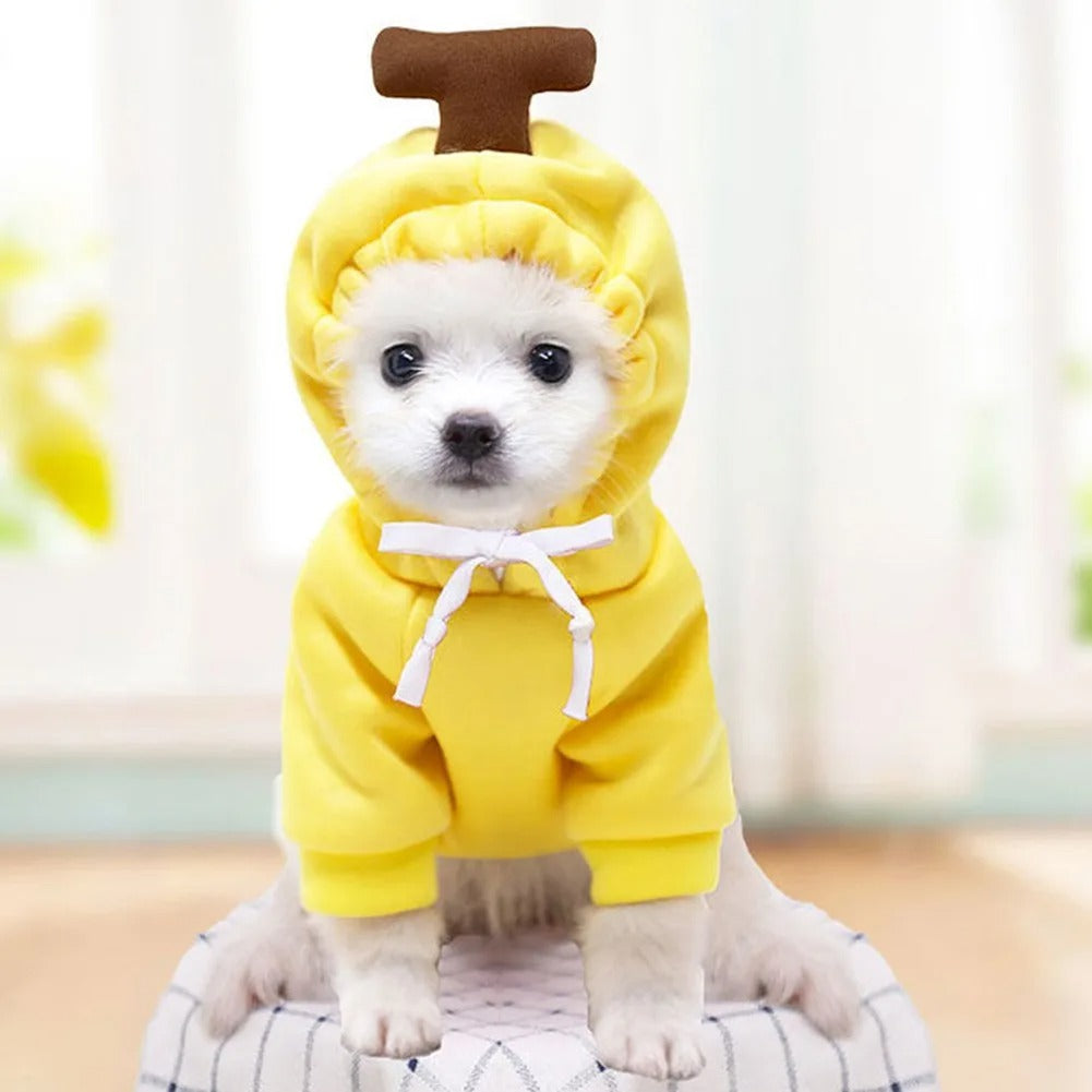 Fruits Hoodie ,Dog Top, Dog Clothing, Dog Fashion, Dog Apparel 402