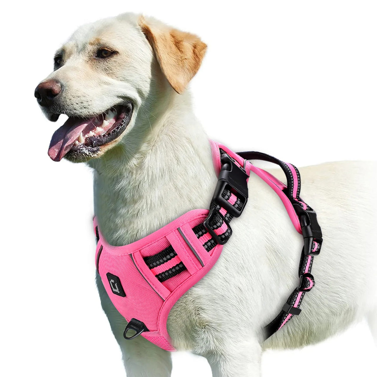 No Pull Dog Harness, Dog Harness, Dog Safety, No-Pull Dog Harness, Quick-Fit Padded Dog Harness 162