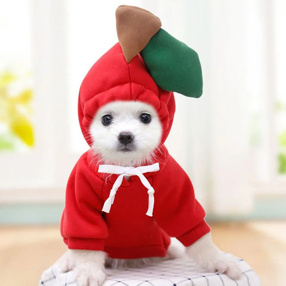 Fruits Hoodie ,Dog Top, Dog Clothing, Dog Fashion, Dog Apparel 402