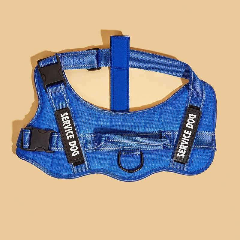 No Pull Dog Harness, Dog Harness, Dog Safety, No-Pull Dog Harness, Quick-Fit Padded Dog Harness 164