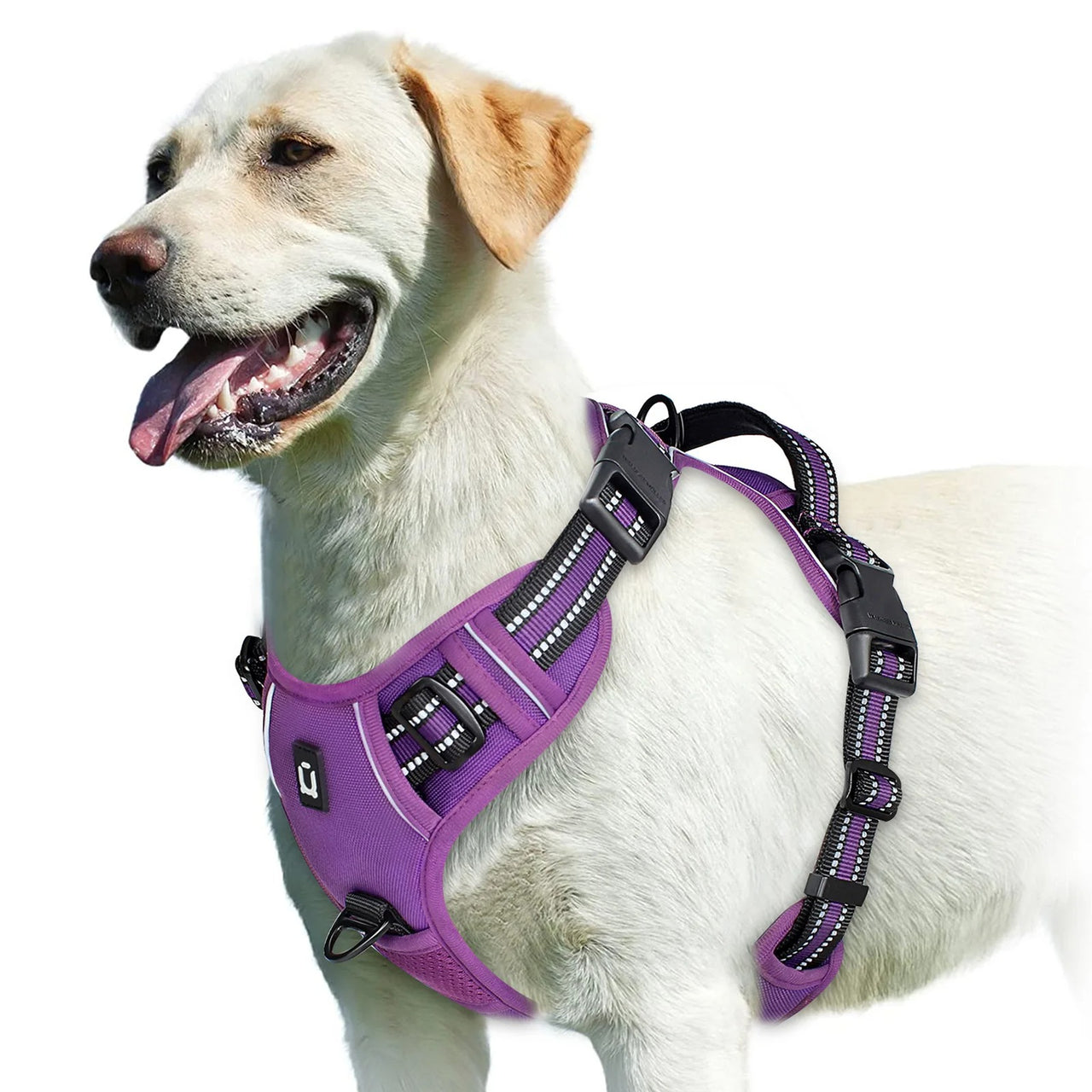 No Pull Dog Harness, Dog Harness, Dog Safety, No-Pull Dog Harness, Quick-Fit Padded Dog Harness 162