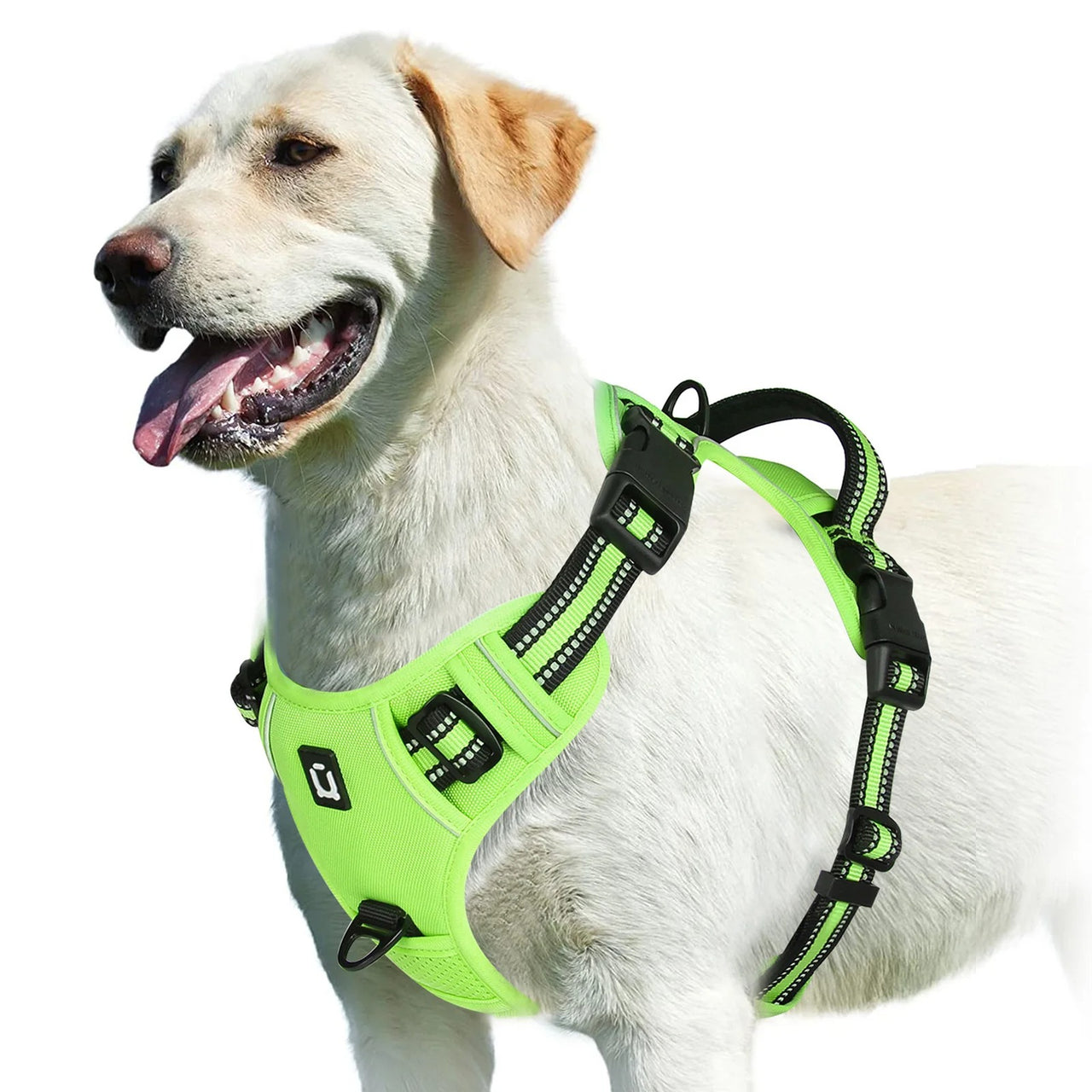 No Pull Dog Harness, Dog Harness, Dog Safety, No-Pull Dog Harness, Quick-Fit Padded Dog Harness 162