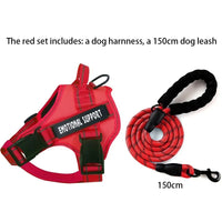 Thumbnail for No Pull Dog Harness, Dog Harness, Dog Safety, No-Pull Dog Harness, Quick-Fit Padded Dog Harness 164