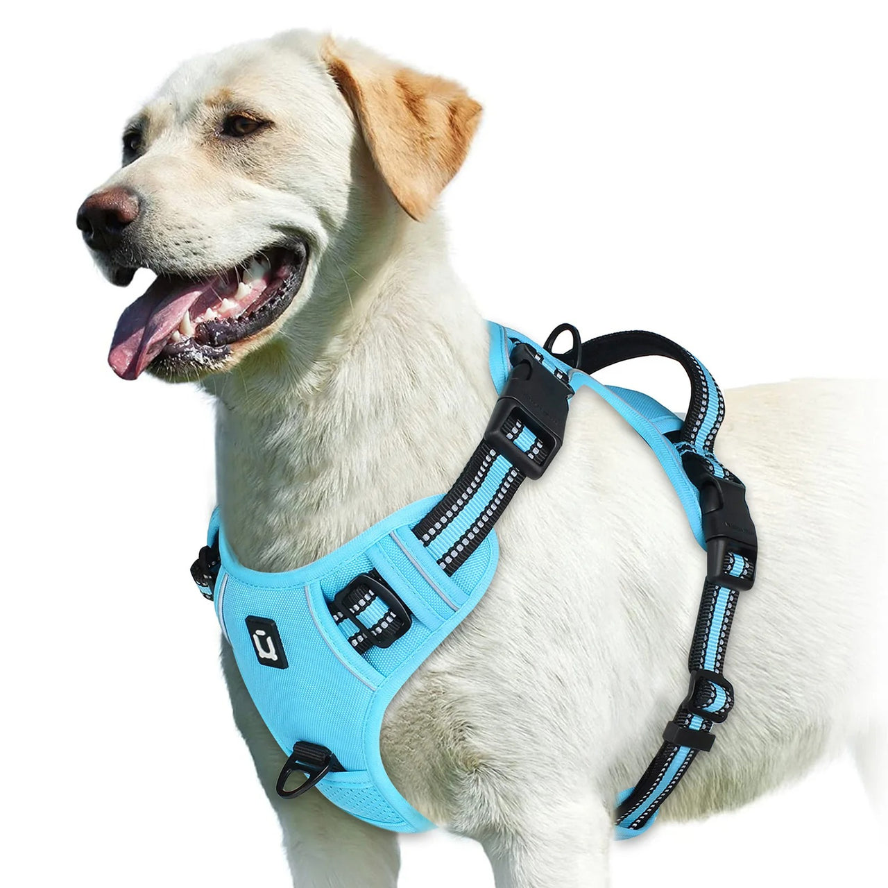 No Pull Dog Harness, Dog Harness, Dog Safety, No-Pull Dog Harness, Quick-Fit Padded Dog Harness 162