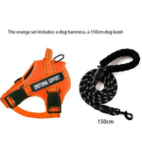 Thumbnail for No Pull Dog Harness, Dog Harness, Dog Safety, No-Pull Dog Harness, Quick-Fit Padded Dog Harness 164