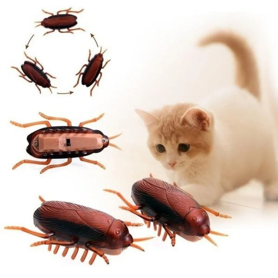 3 Pcs Funny Simulation of Cockroaches Pet Cat Dog, Kitten Interactive Training Play Toy 96