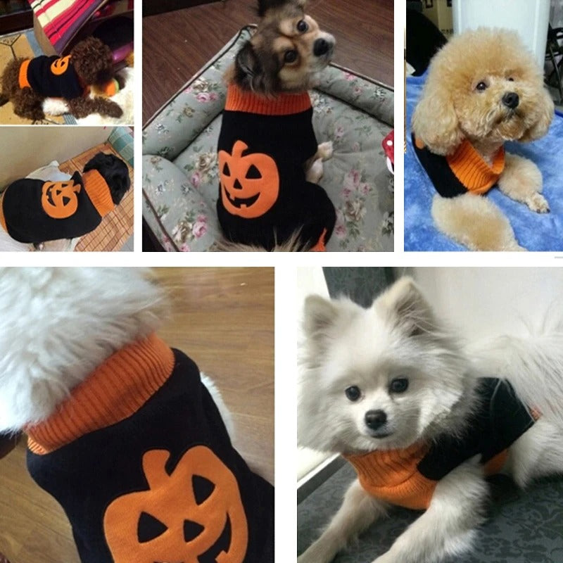 Pumpkin Dog Sweater, Halloween Shirt for Dog Costume with Pumpkin, Sweatshirt Black Shirt for Dog Fall Pet Clothes 358