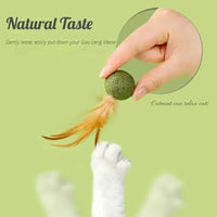 Thumbnail for 3 Pcs Feather Cat Toys, Pet Toys, Cat Toy, Cat Toss Toy, Catnip Infused 91