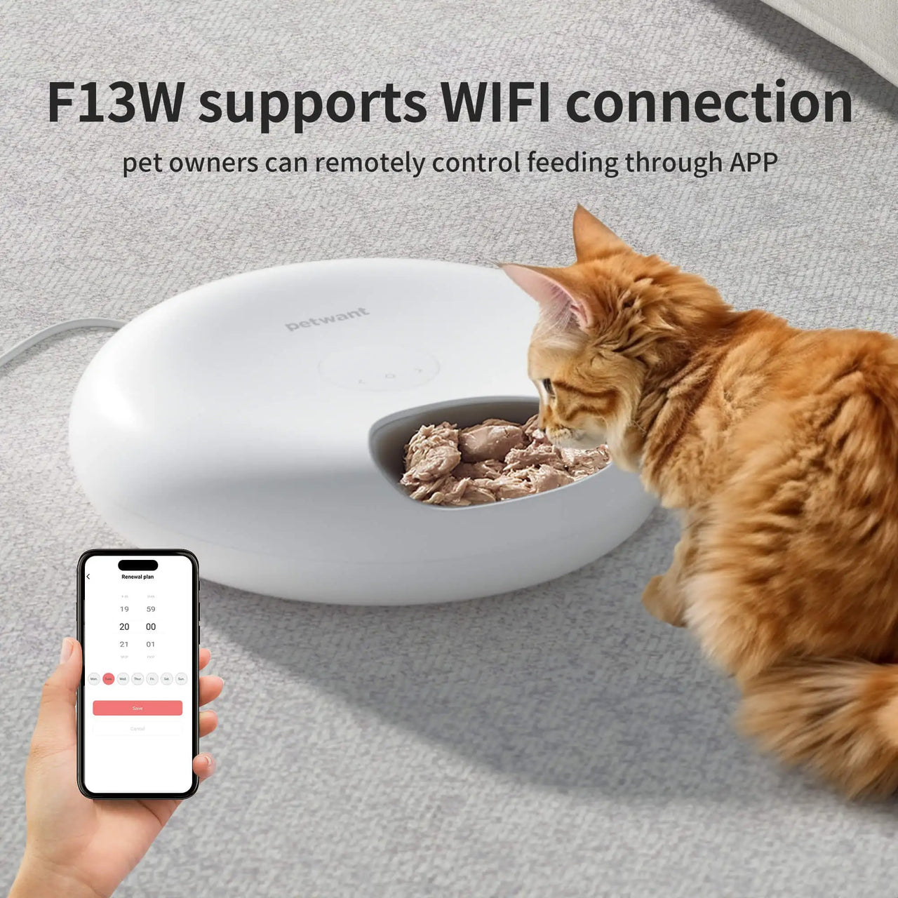 Automatic Cat Feeders, 6 Meals Automatic Pet Feeder Smart Wifi Remote, Dual Power Pet Feeder Automatic Wet & Dry Food Dispenser 190