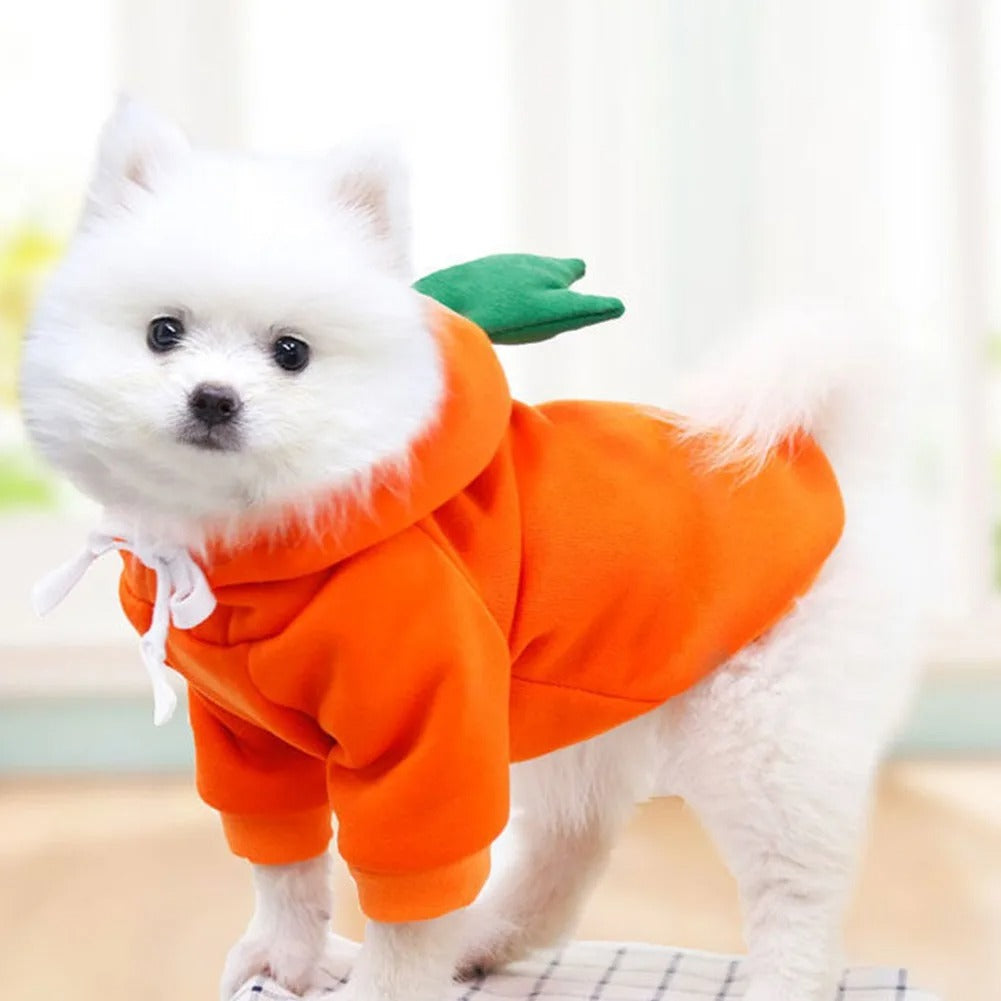 Fruits Hoodie ,Dog Top, Dog Clothing, Dog Fashion, Dog Apparel 402