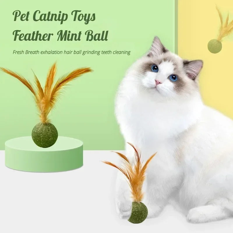 3 Pcs Feather Cat Toys, Pet Toys, Cat Toy, Cat Toss Toy, Catnip Infused 91