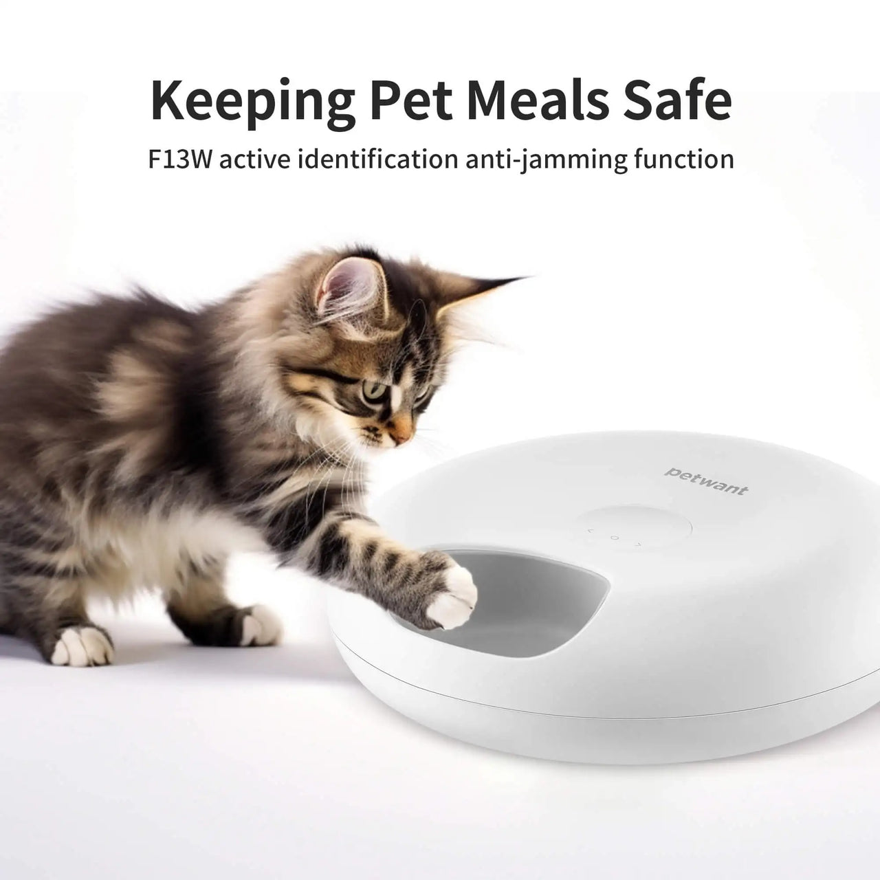 Automatic Cat Feeders, 6 Meals Automatic Pet Feeder Smart Wifi Remote, Dual Power Pet Feeder Automatic Wet & Dry Food Dispenser 190