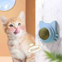 Thumbnail for 3 Pcs Catnip Wall Stick-On Ball Toy with Cat Grass Snack, Natural Scratcher for Healthy Play 43