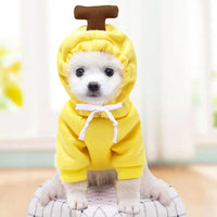 Thumbnail for Fruits Hoodie ,Dog Top, Dog Clothing, Dog Fashion, Dog Apparel 402