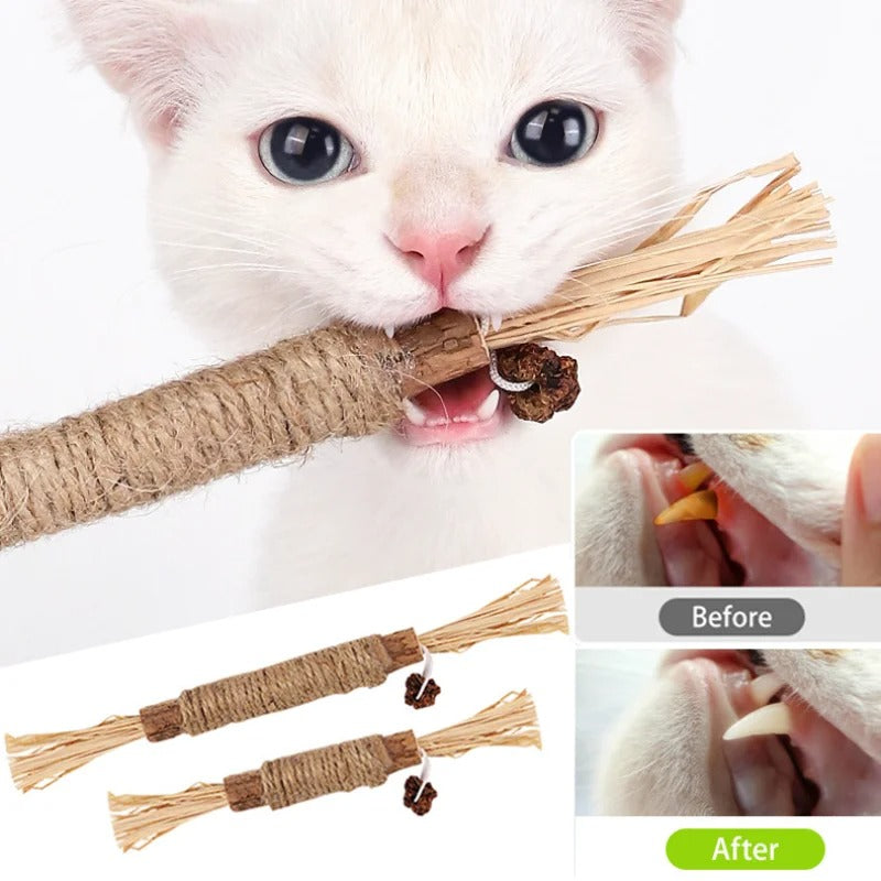 2 Pcs Silvervine, Catnip Alternative, Chew Stick, Silvervine Dried Fruit Gall, All Natural Silvervine, Great Catnip Alternative, Cat Toy/Treat And Gift For Cat Lovers 36