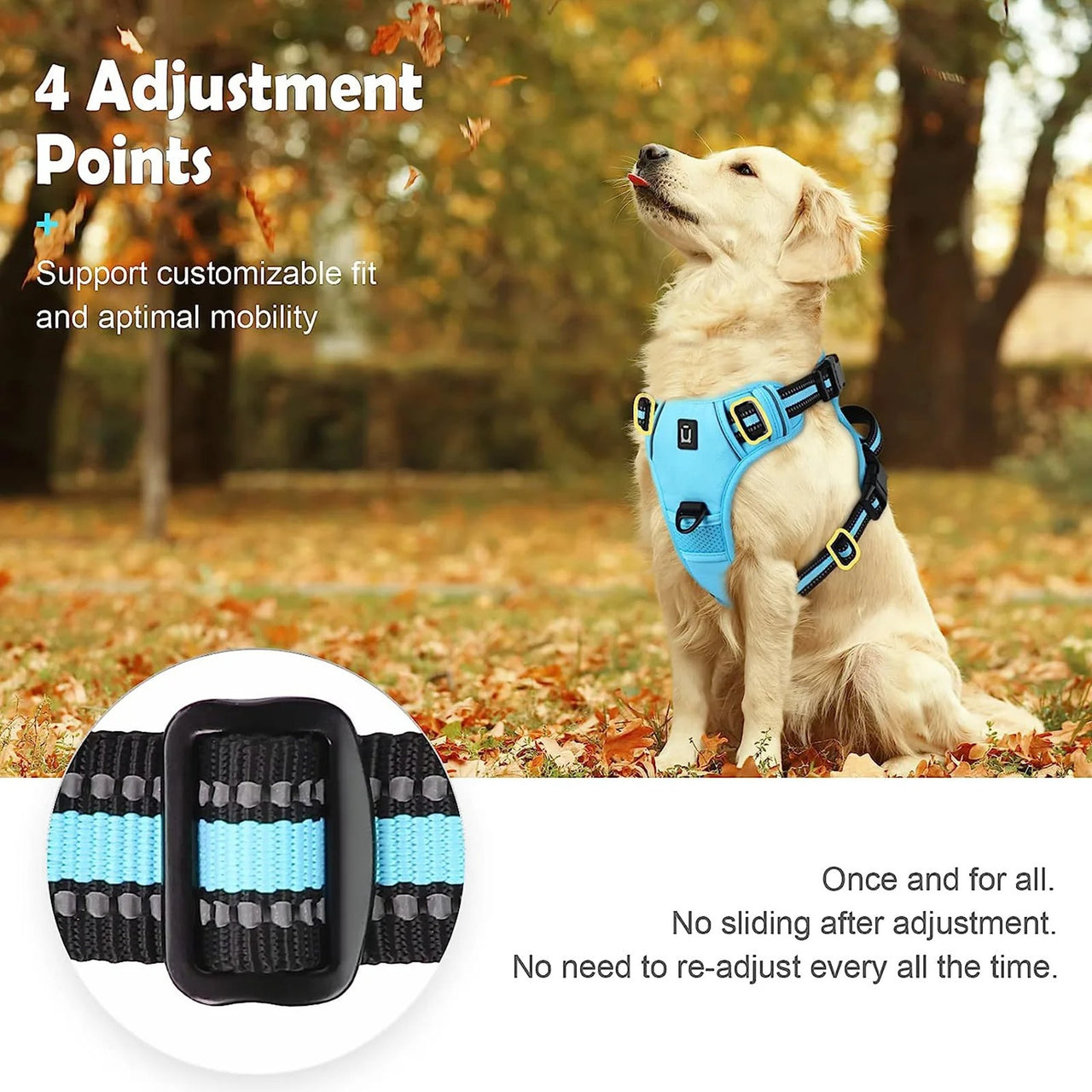 No Pull Dog Harness, Dog Harness, Dog Safety, No-Pull Dog Harness, Quick-Fit Padded Dog Harness 162