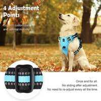 Thumbnail for No Pull Dog Harness, Dog Harness, Dog Safety, No-Pull Dog Harness, Quick-Fit Padded Dog Harness 162