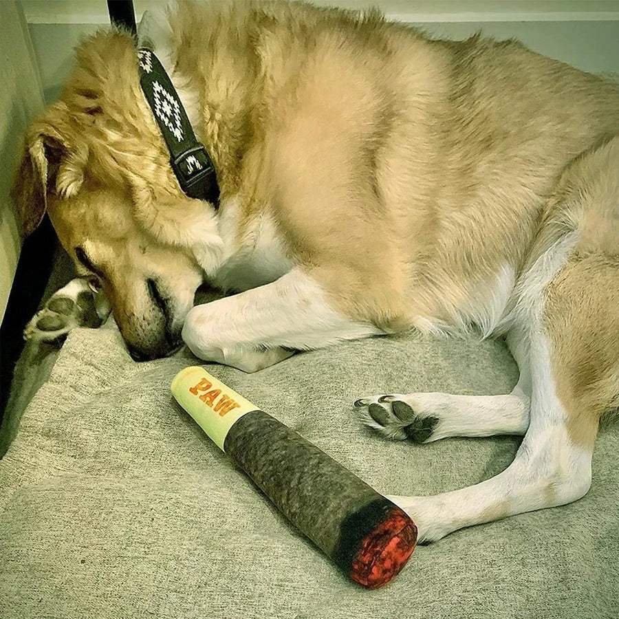 dog cigarette toys 2 Pcs Cigar Shaped Plush Dog Squeaky Toy, Interactive Bite Resistant T – Puppipop dog cigarette toys 2 Pcs Cigar Shaped Plush Dog Squeaky Toy, Interactive Bite Resistant T – Puppipop
