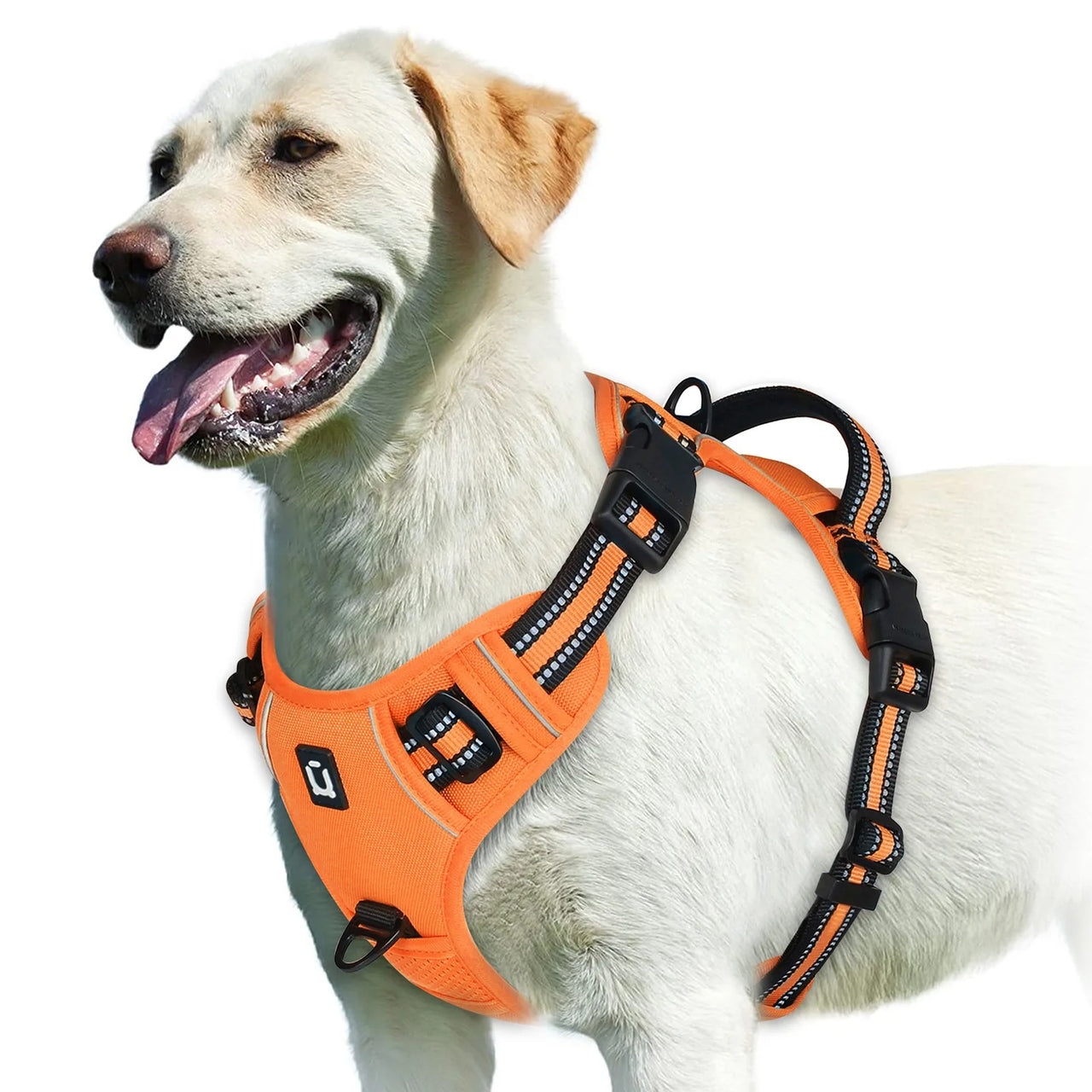 No Pull Dog Harness, Dog Harness, Dog Safety, No-Pull Dog Harness, Quick-Fit Padded Dog Harness 162