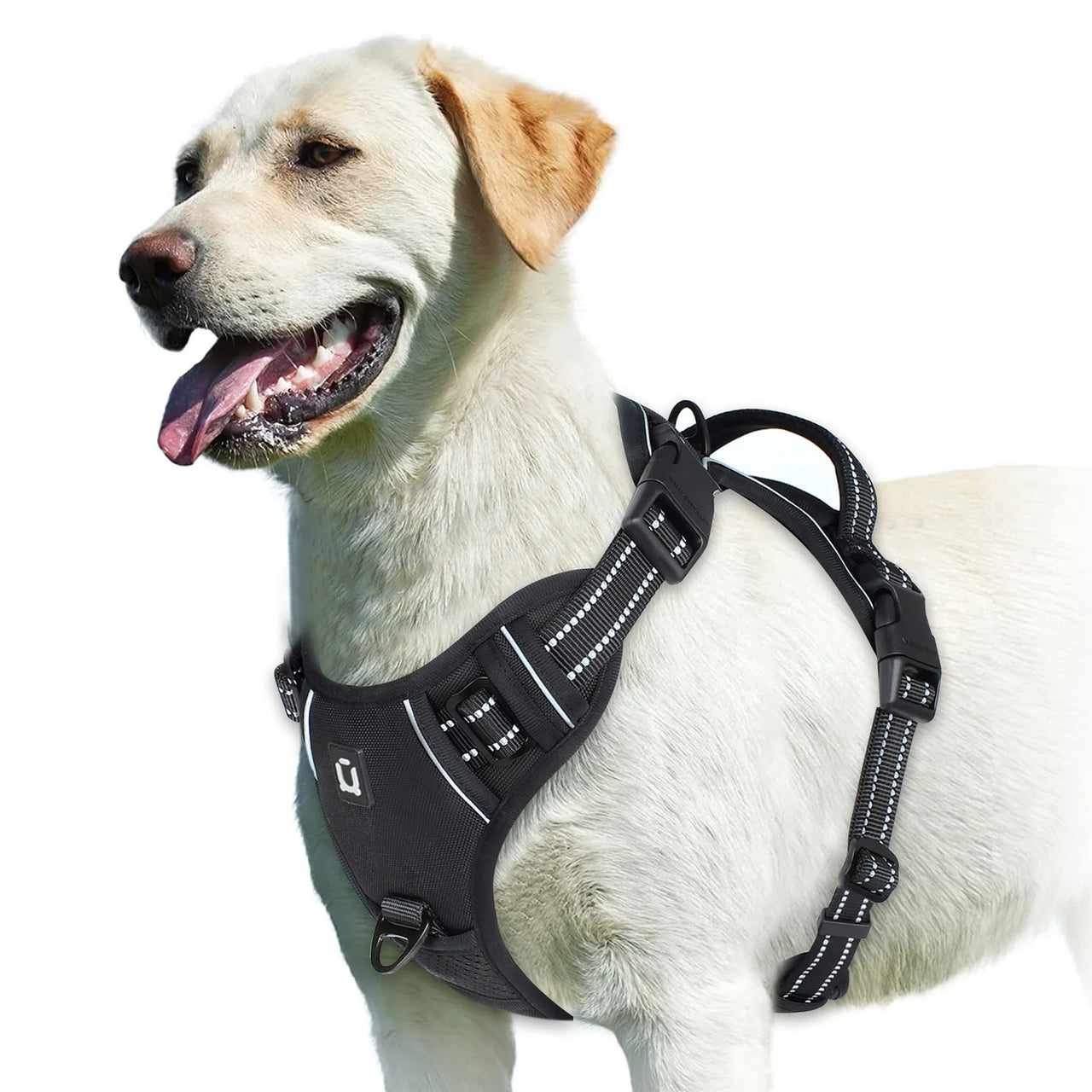 No Pull Dog Harness, Dog Harness, Dog Safety, No-Pull Dog Harness, Quick-Fit Padded Dog Harness 162