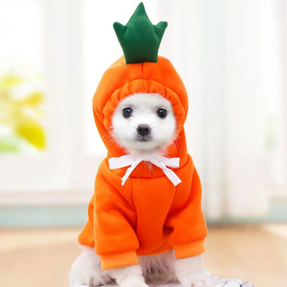 Fruits Hoodie ,Dog Top, Dog Clothing, Dog Fashion, Dog Apparel 402