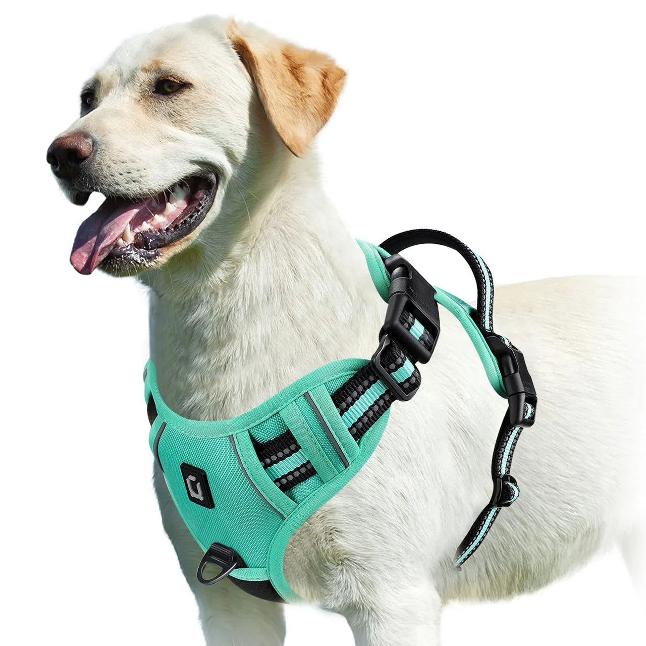 No Pull Dog Harness, Dog Harness, Dog Safety, No-Pull Dog Harness, Quick-Fit Padded Dog Harness 162