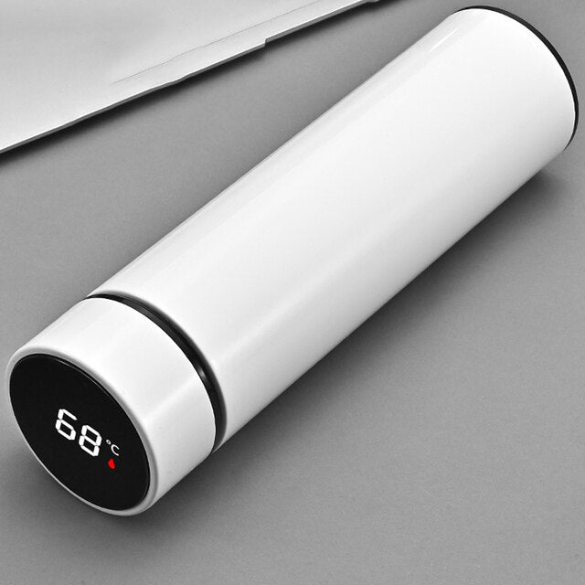 Best ! Water Bottle with LED Temperature Display 🔧 