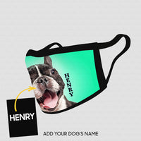 Thumbnail for Personalized Dog Gift Idea - Frenchie Bull On Kelly Background For Dog Lovers - Cloth Mask