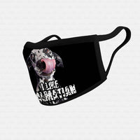 Thumbnail for Dog Gift Idea - I Like Dalmatian For Dog Lovers - Cloth Mask